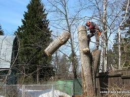 Спил деревьев по частям, все виды дачных работ