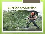 Спилим дерево. Спил деревьев любой сложности. - фото 1