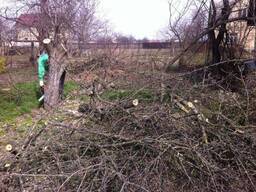 Спил, вырубка деревьев и мелколесья