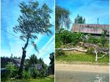 Поможем быстро и аккуратно спилить дерево без ущерба - фото 3