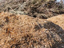 Утилизация древесины