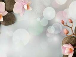 Стеновая панель (Скиналь) на МДФ R-48