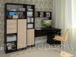 Стол компьютерный СК-005+шкаф СК21 - фото 2