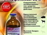 СтрептопенБел (Streptopenum Bel) - фото 4