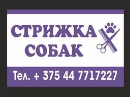 Стрижка собак Молодечно