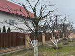 Стрижка туй , клумбы , газоны, ландшафт и благоустройство - фото 2