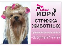 Стрижка животных
