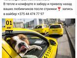 Стрижка животных - фото 3