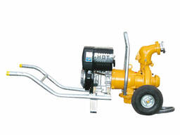 Строительные и канализационные насосы BS-BSD-BSG (Eisele)