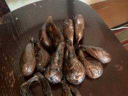 Струя бобра