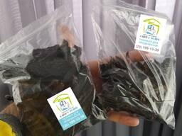 Лакомство сушеное