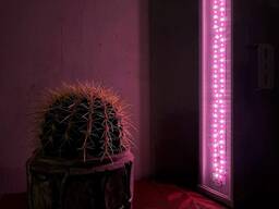 Светильник светодиодный для растений