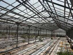Теплица промышленная каркас