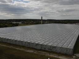 Тепличный комплекс в Витебской области