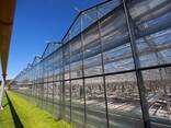Тепличный комплекс в Витебской области - фото 2