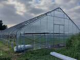 Теплицы - фото 2