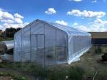 Теплицы - фото 3