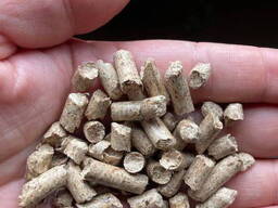 Топливные пеллеты