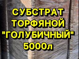 Торф голубичный