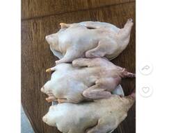 Фото Тушки Утки На Продажу