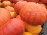 Тыква - фото 1