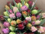 Букеты из тюльпанов - фото 3