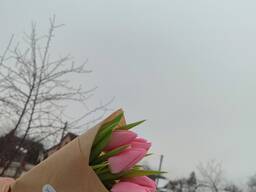 Тюльпаны к 8 марта