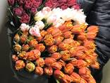 Тюльпаны, крокусы, нарциссы, гиацинты - фото 1