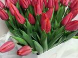 Тюльпаны опт 2026 - фото 1