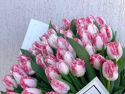 Тюльпаны оптом