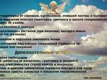 Уборка и уход за могилами - фото 2