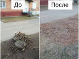 Пни портят участок? Удалим быстро и аккуратно – от 3, 5р за 1см! - фото 1