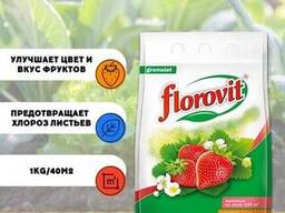 Hnojivo Florovit na jahody gran. 3 kg, pytel