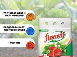 Hnojivo Florovit na jahody a lesní jahody gran. 1kg, sáček