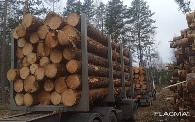 Услуги лесовоза с манипулятором — Оказание услуги в Борисове, Flagma.by ...