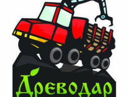 Услуги лесозаготовки