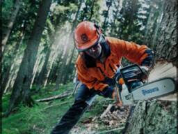 Услуги лесозаготовки