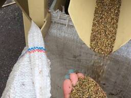 Услуги по очистке семян