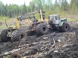 Услуги по вывозке лесоматериала круглого