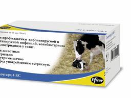 Вакцина Скоугард 4 КС