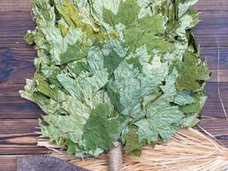 Веники для бани