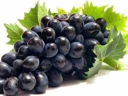 Виноград ОПТОМ из Турции