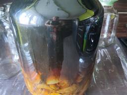 Вяселка, гриб , настойка