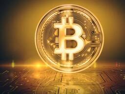 Вычислительное оборудование для майнинга криптовалюты bitcoin