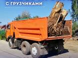 Вывоз мусора Гомель. Грузчики и техника. - фото 1