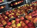 Яблоко свежее 2025г. (Молдова) - фото 3