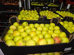 Яблоко/груша