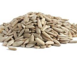 Ядра подсолнечника