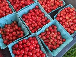 Якісна чорниця та полуниця, черешня