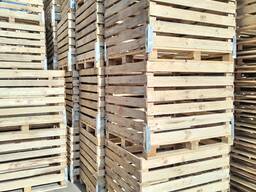 Ящики овощные